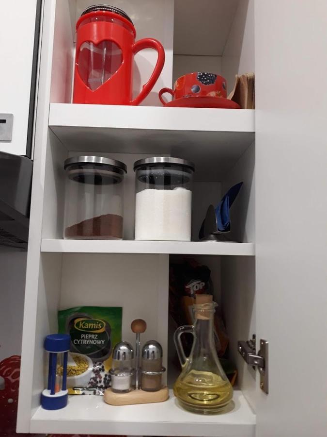 Apartament W Sercu Warmii II Όλστυν Εξωτερικό φωτογραφία